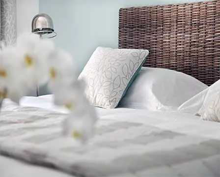 Chambre douillette dans les cuves au Domaine