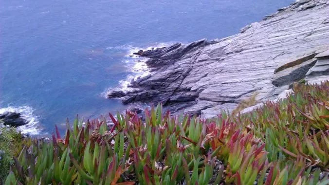 Falaises et Cactus