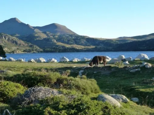 Barrage des Bouillouses en Pyrénées Orientales