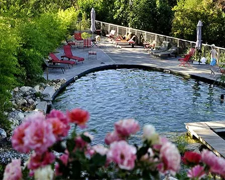 Piscine naturelle Biotope du Domaine