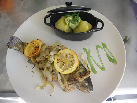 Week-End d'Initiation au Trail dans les Pyrénées-Orientales