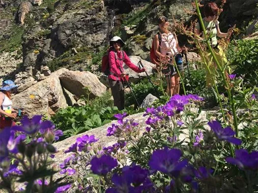 Vallée des fleurs en Andorre