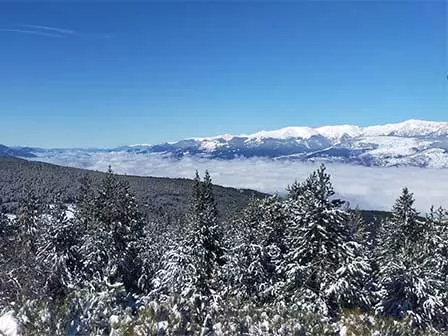 Vues panoramiques sur la Cerdagne depuis la forêt d'Osséja en Pyrénées