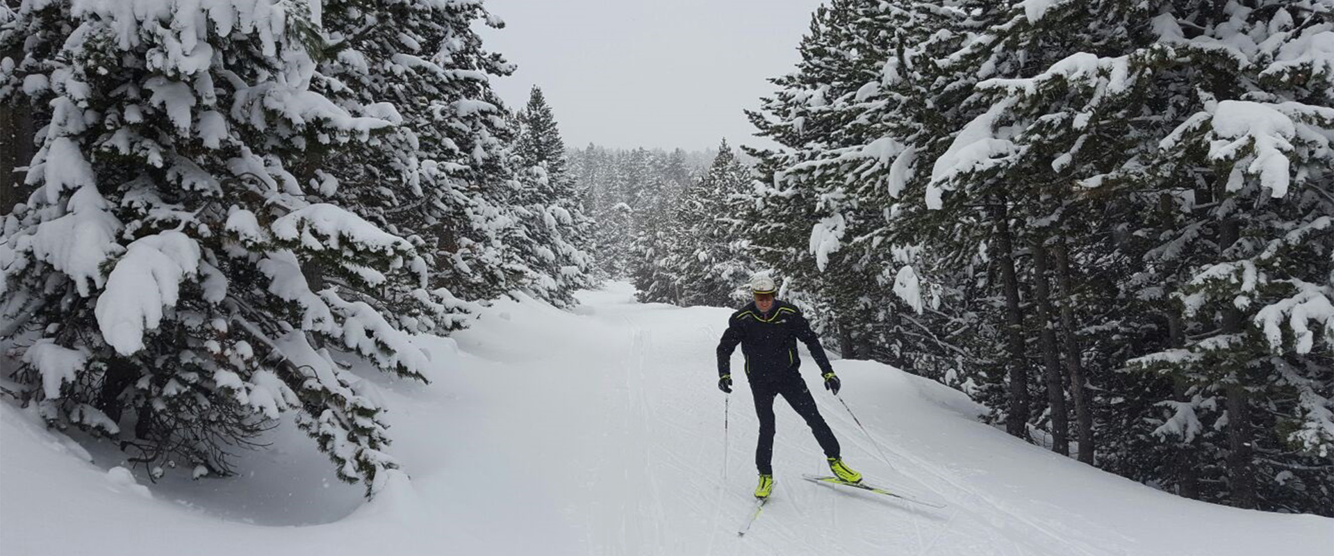 Ski de Randonnée Nordique